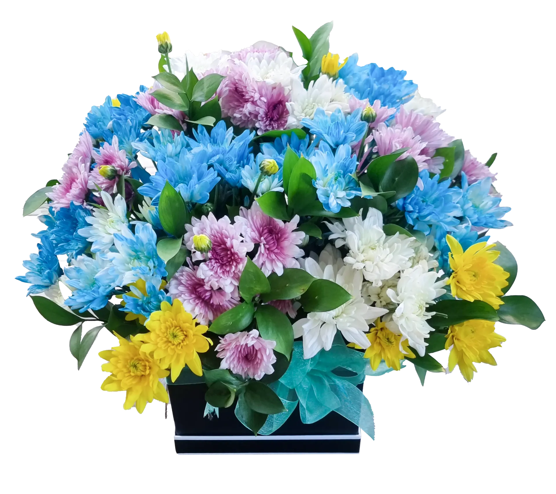 Aqua Box Arrangement