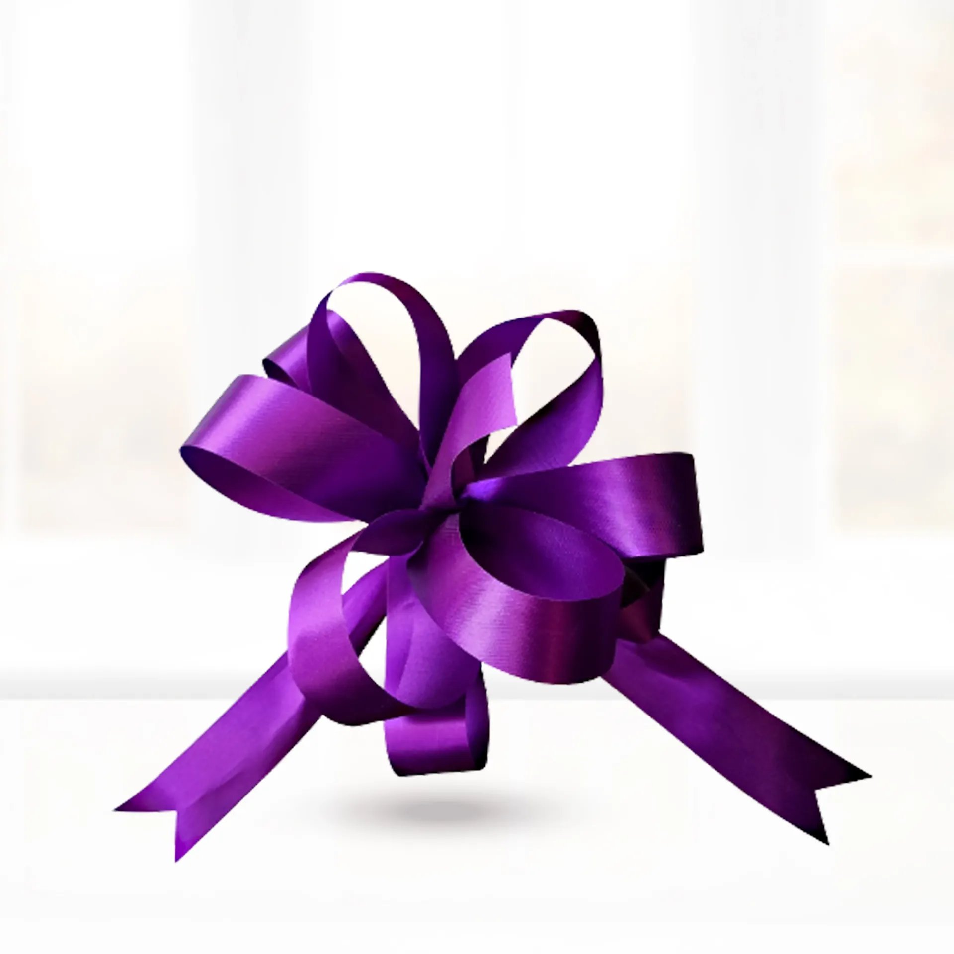 Wired Ribbon
